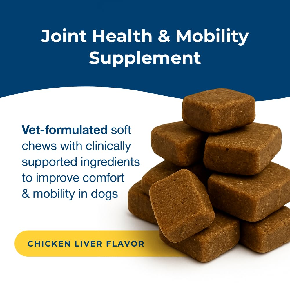 Joint Health & Mobility Soft Chews for Dogs 45 Count G55845