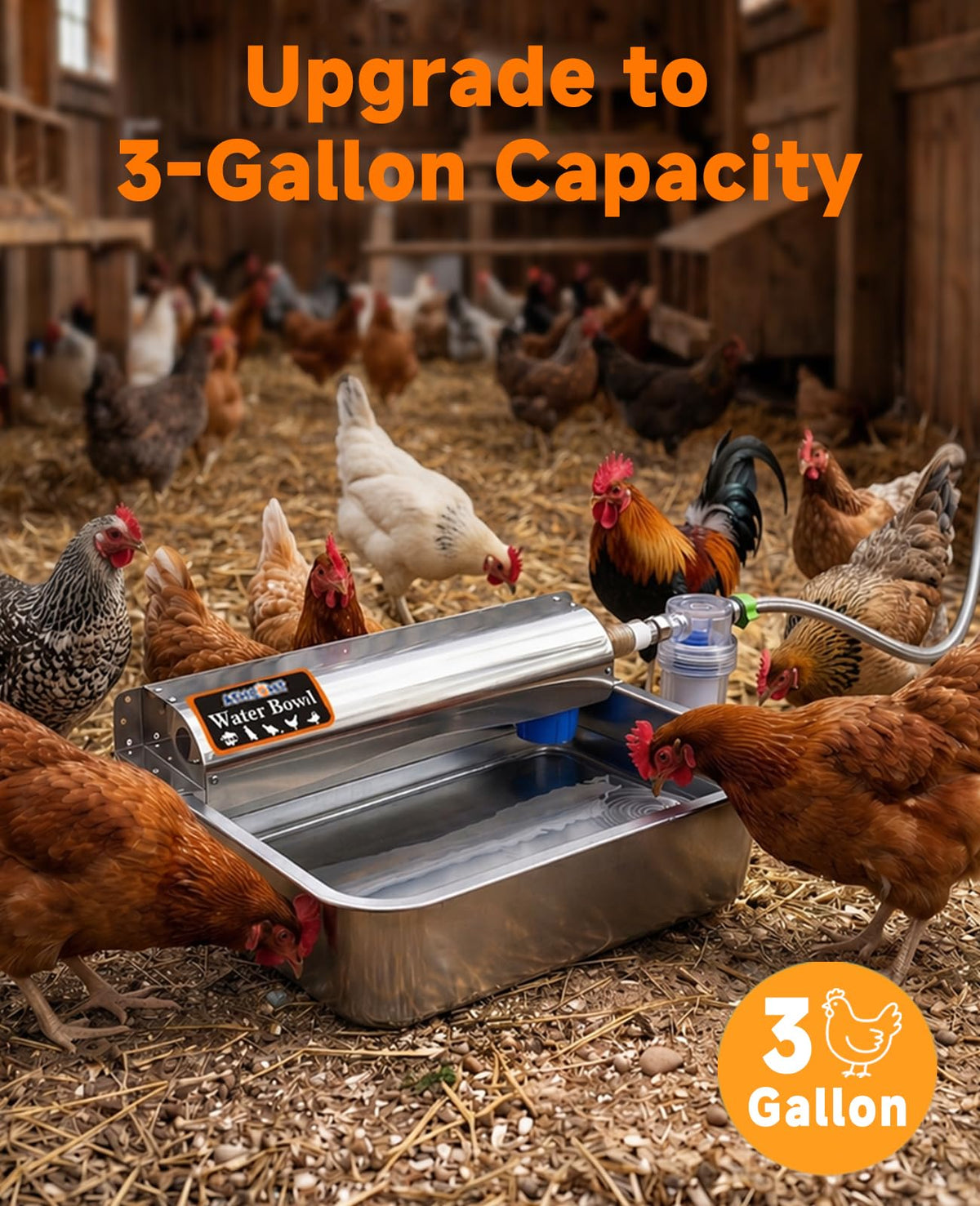 Automatic Chicken Waterer 304 Stainless Steel P645616