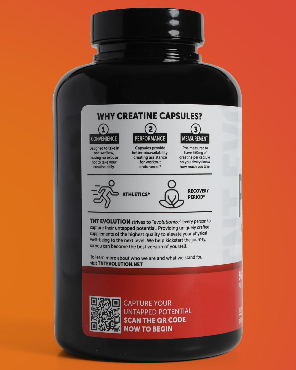 Creatine Monohydrate Capsules 750mg 240 Count Gluten Free Y236