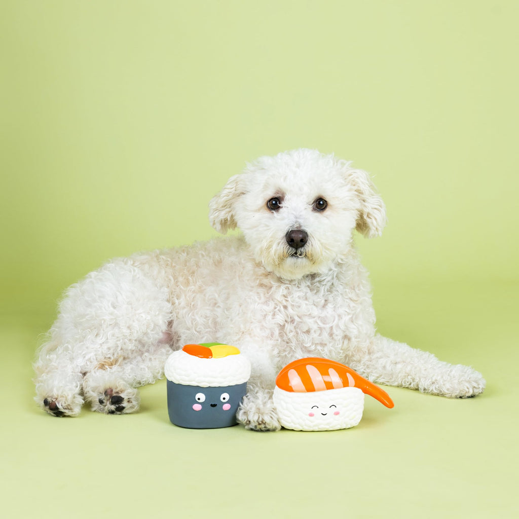 Set of 2 Latex Dog Toy Sets T379