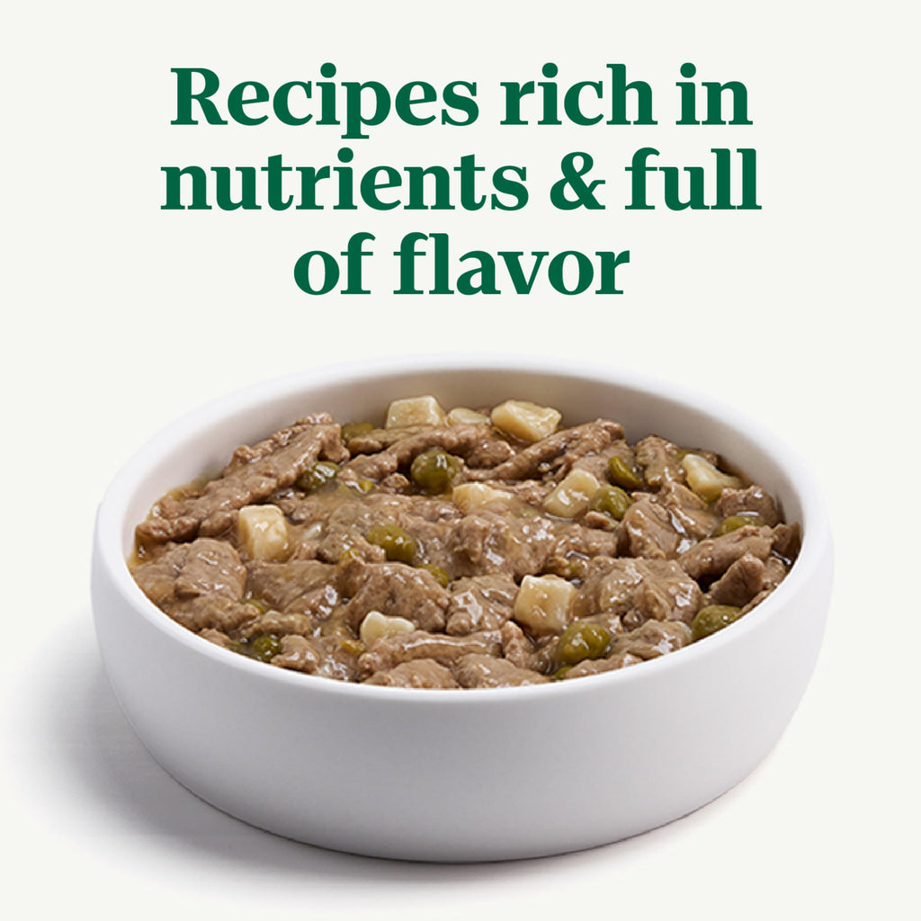 Wet Dog Food 3.5 oz 24 Count L657383