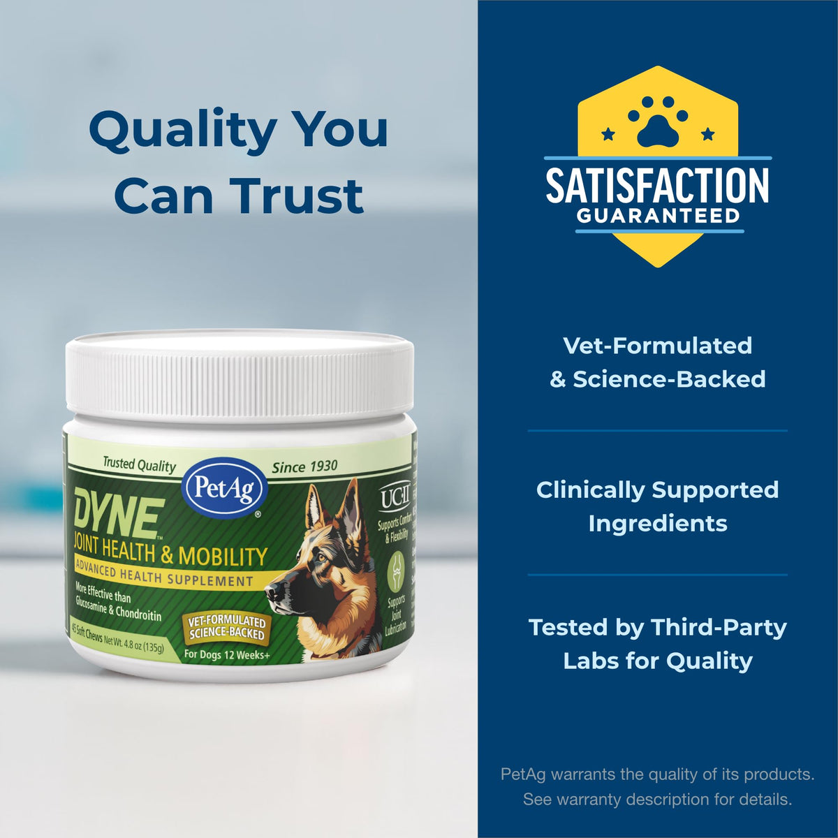 Joint Health & Mobility Soft Chews for Dogs 45 Count G55845