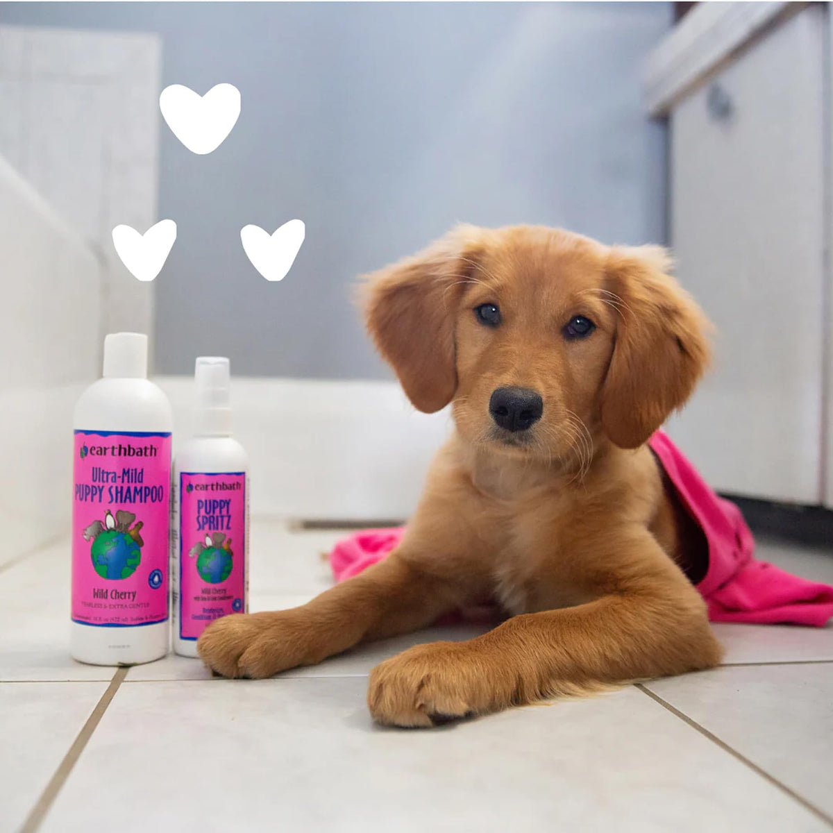 Wild Cherry Puppy Shampoo 16 Oz A65517