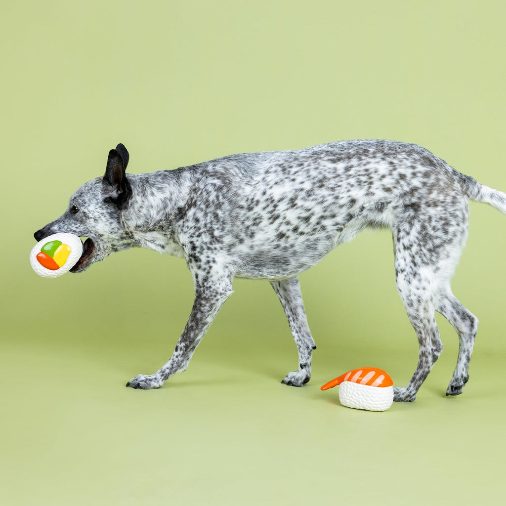 Set of 2 Latex Dog Toy Sets T379