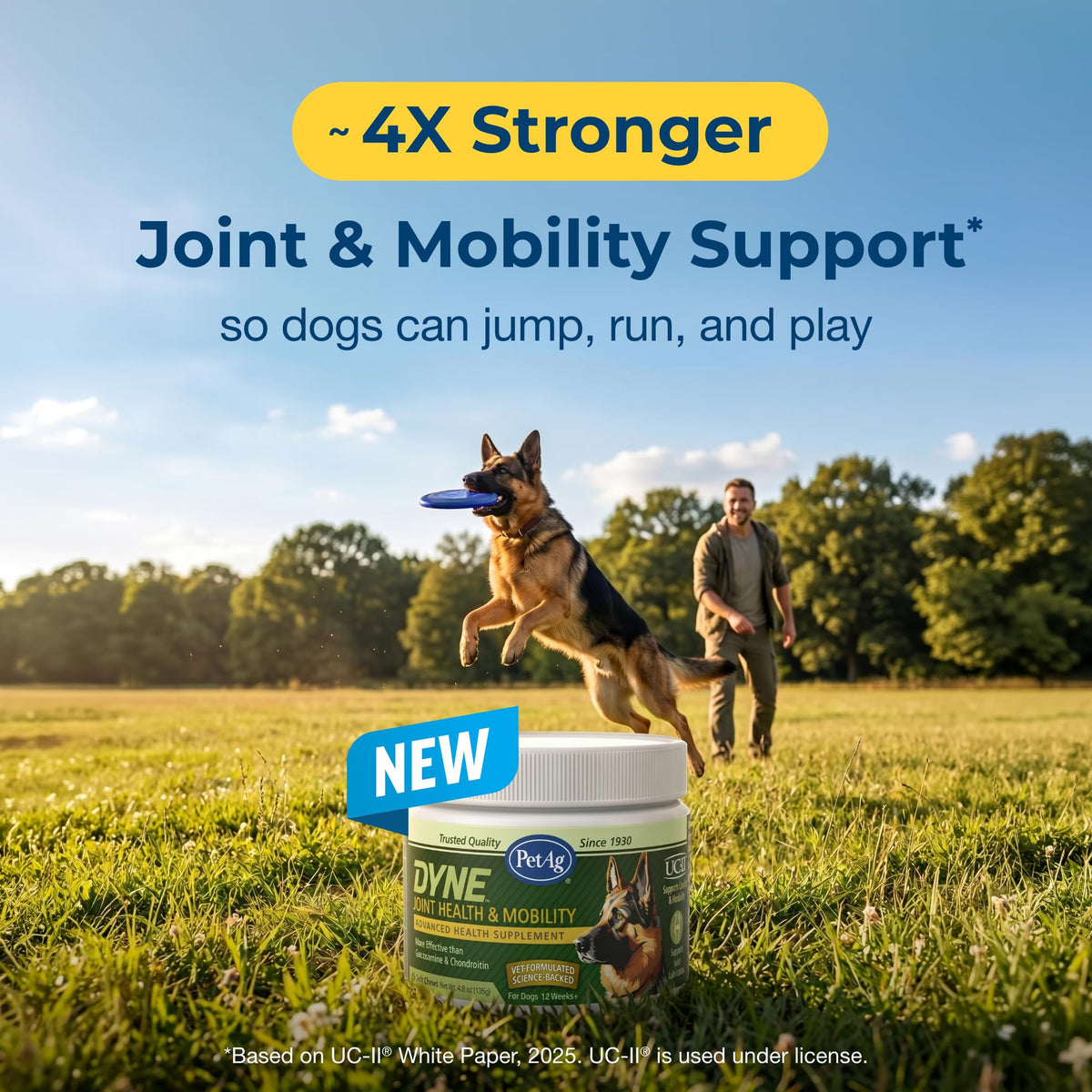 Joint Health & Mobility Soft Chews for Dogs 45 Count G55845