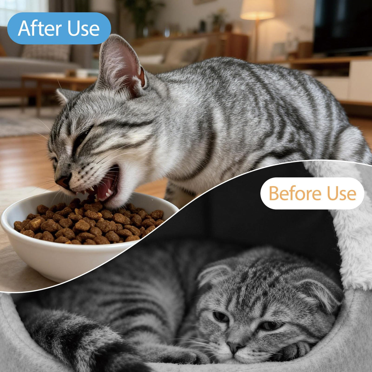 Liquid Dewormer for Cats & Kittens 4.06 oz N818