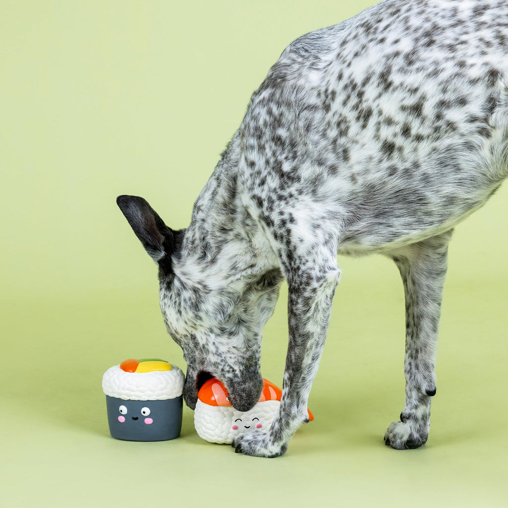 Set of 2 Latex Dog Toy Sets T379