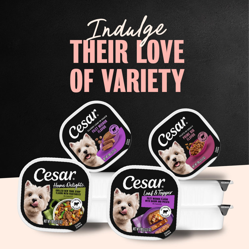 Steak Lovers Variety Pack Wet Dog Food 3.5 oz 36 Count M66647