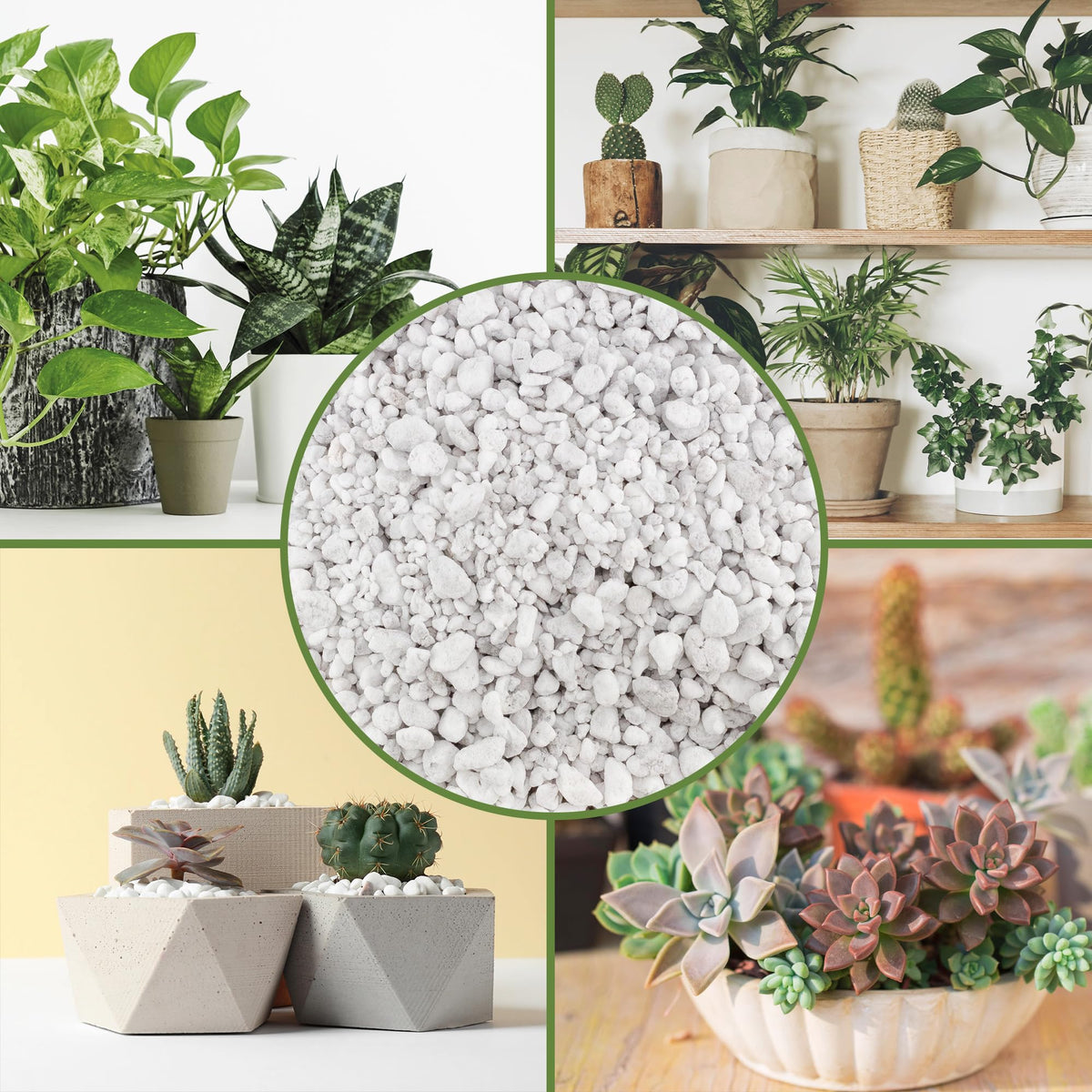 Coarse Perlite for Plants 30 Quarts M149304