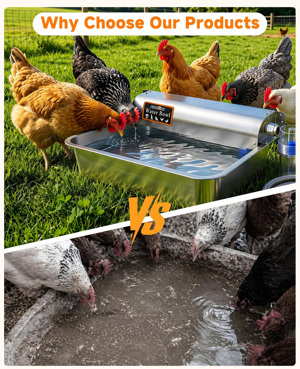 Automatic Chicken Waterer 304 Stainless Steel P645616