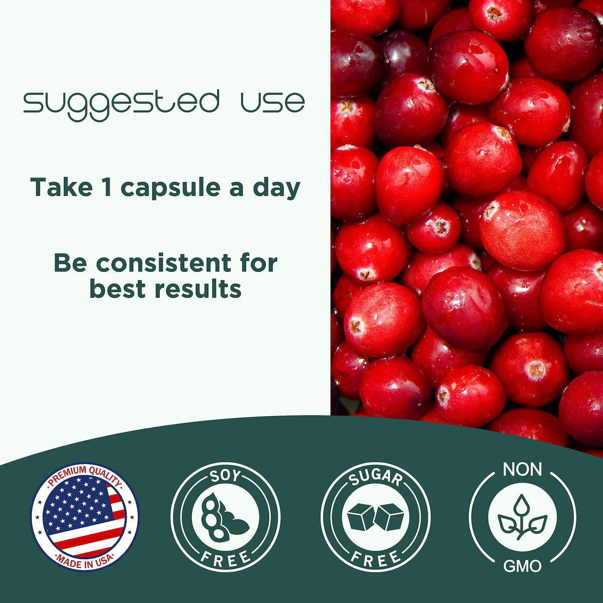 Cranberry Pills Y60937
