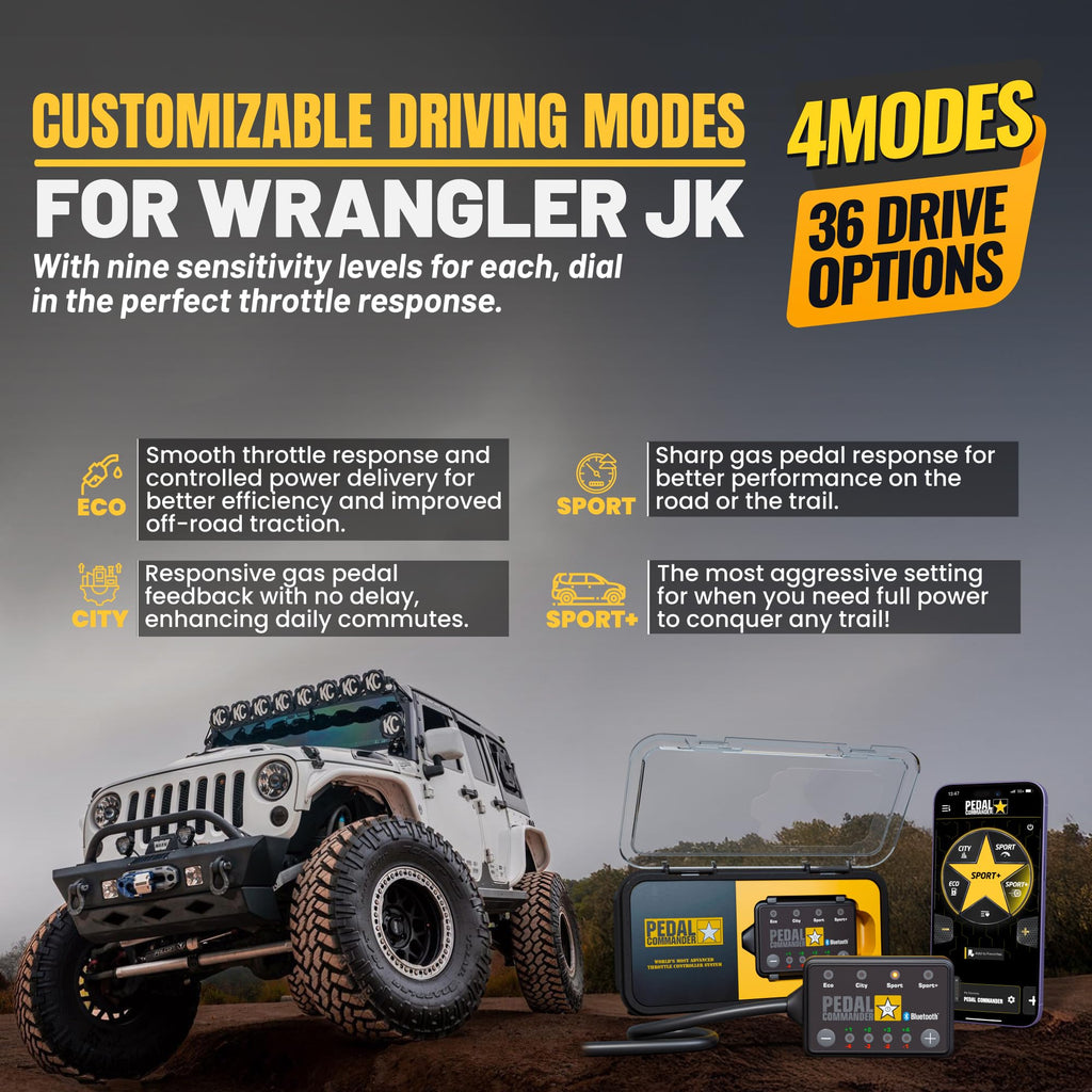 Throttle Response Controller C5873