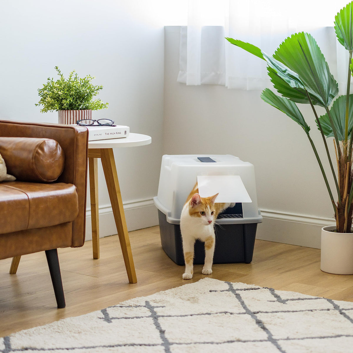 Large Front Door Cat Litter Box P44085