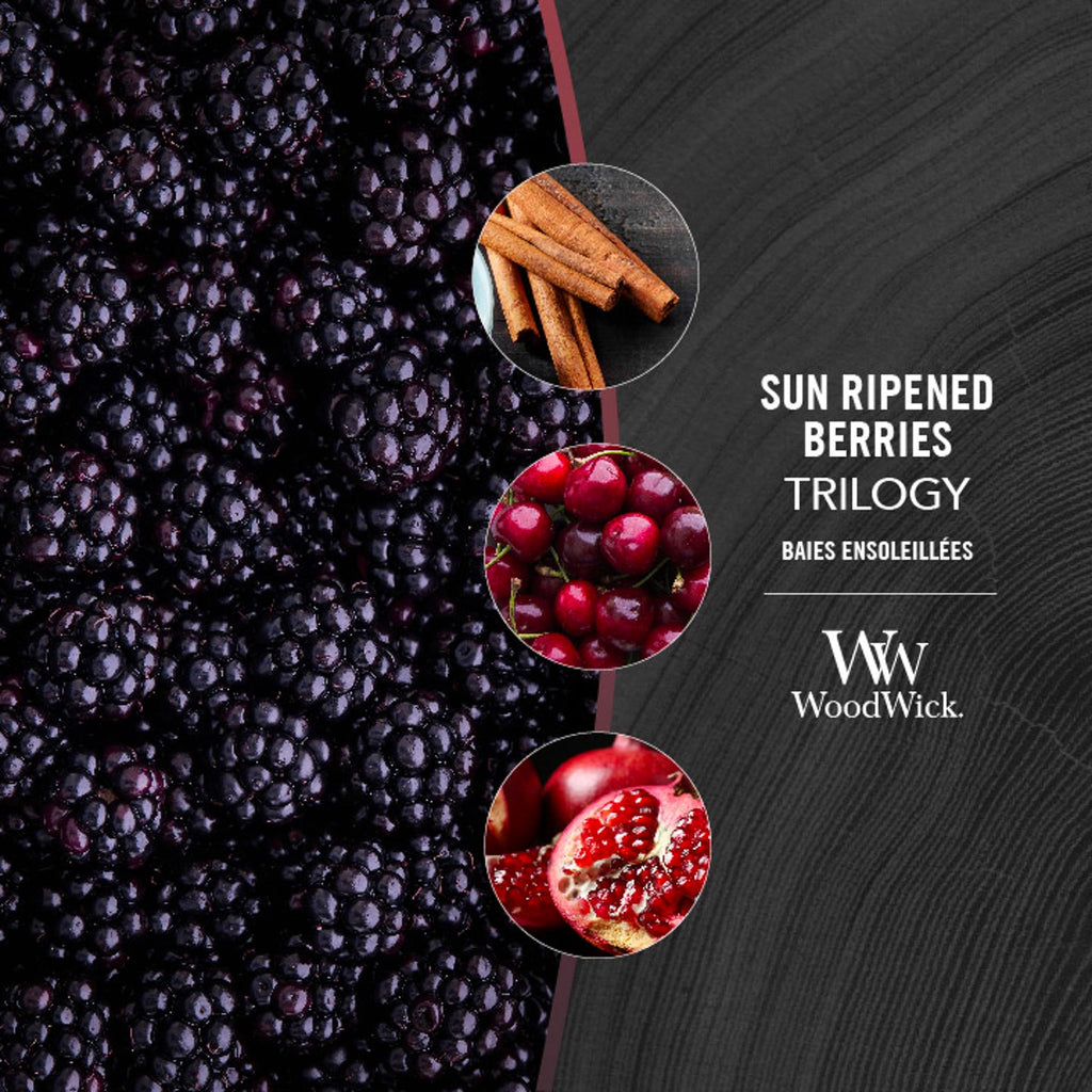 Scented Trilogy Candle with Crackling Wick R502