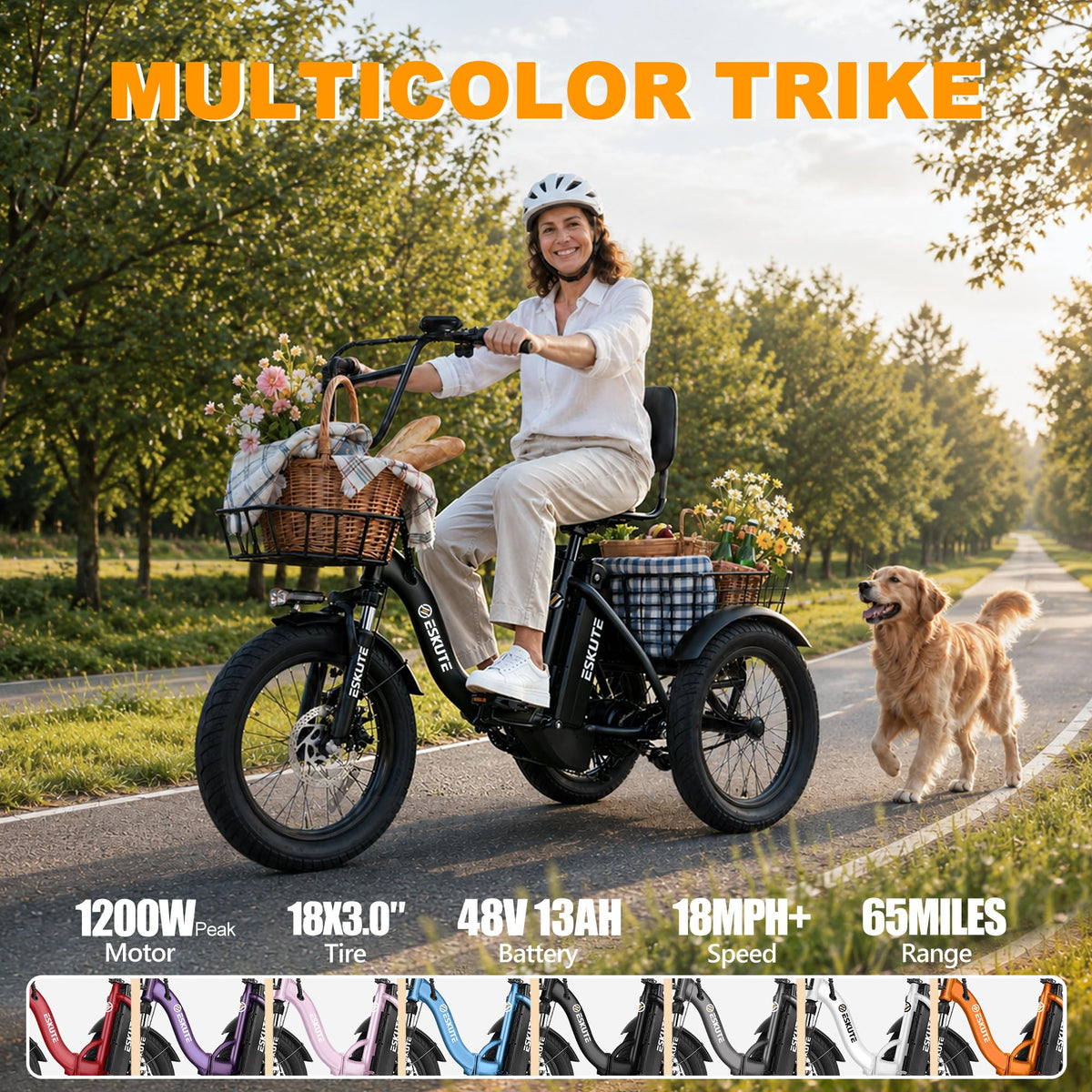 Electric Tricycle for Adults, 1200W Folding E-Trike, 48V 13Ah Battery, 18" Fat Tire 3-Wheel Electric Bike N976